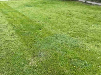 Lawn Care service in Urbandale, 50322