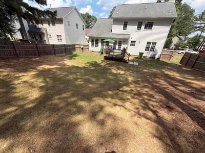 Leaf Removal service in Apex, 27502