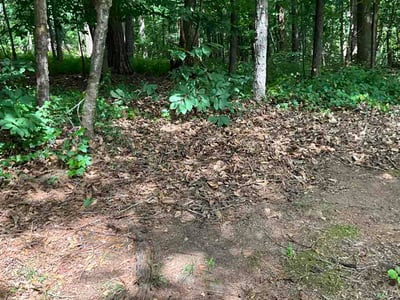 Leaf Removal service in Lawrenceville, 30046