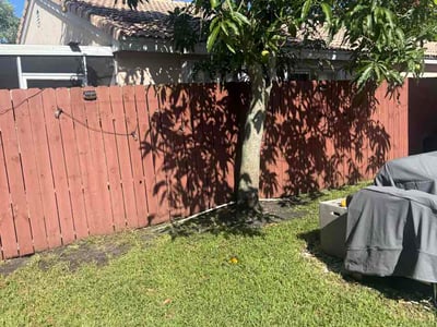 Leaf Removal service in Coral Springs, 33065