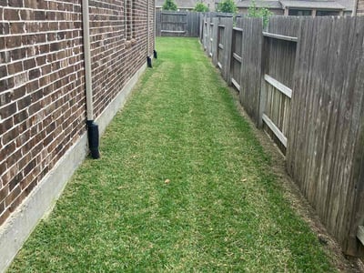 Lawn Care service in Richmond, 94801