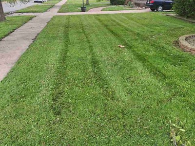 Lawn Care service in Highland, 46322