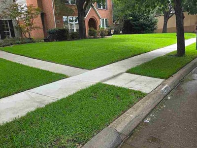 Lawn Care service in Dallas, 75201