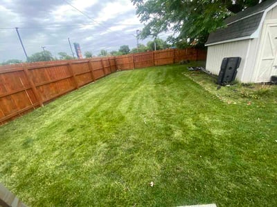 Lawn Care service in Evergreen Park, 60805