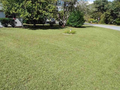 Lawn Care service in Millsboro, 19966