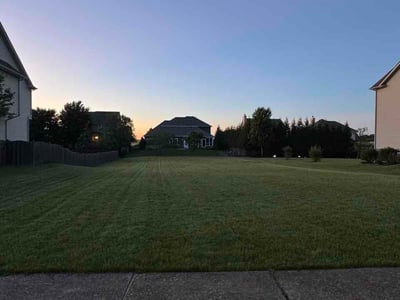 Lawn Care service in Evergreen Park, 60805
