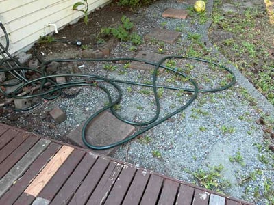 Leaf Removal service in Bellevue, 98004