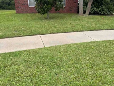 Lawn Care service in Panama City, 32401
