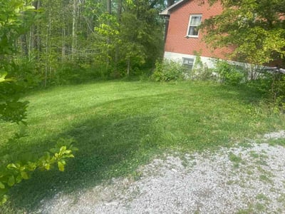 Lawn Care service in Independence, 41051