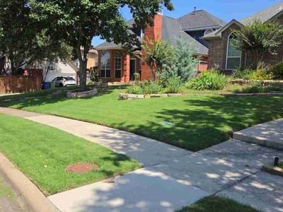 Lawn Care service in Carrollton, 75006