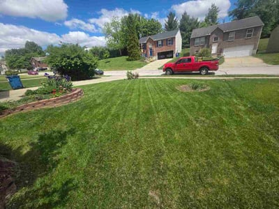 Lawn Care service in Erlanger, 41018
