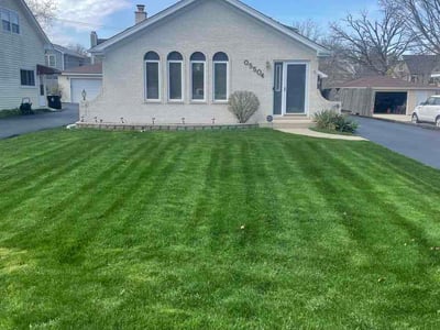 Lawn Care service in Palatine, 60074