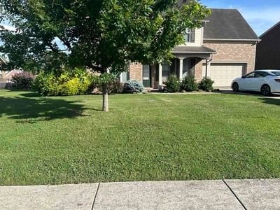 Lawn Care service in Woodbury, 37190