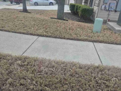 Lawn Care service in Bastrop, 78602