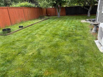 Lawn Care service in Redmond, 98052