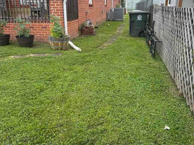 Lawn Care service in Dunlap, 37327