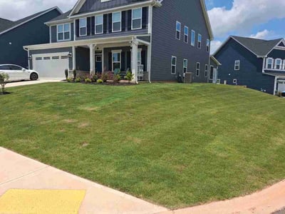 Lawn Care service in Fountain Inn, 29644