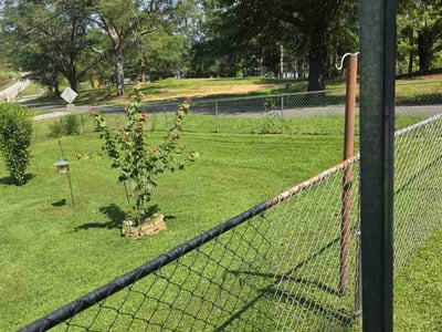 Lawn Care service in Anderson, 29624