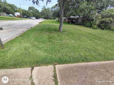 Lawn Care service in Bryan, 77803
