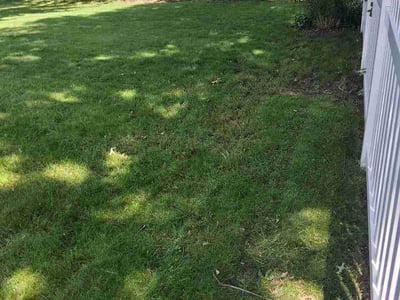 Lawn Care service in Stoughton, 53589