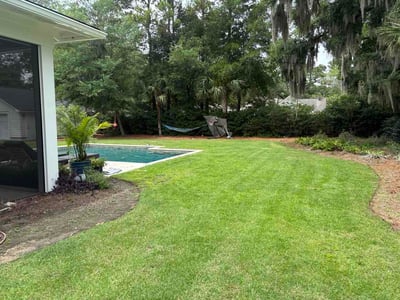 Lawn Care service in Mount Pleasant, 29464