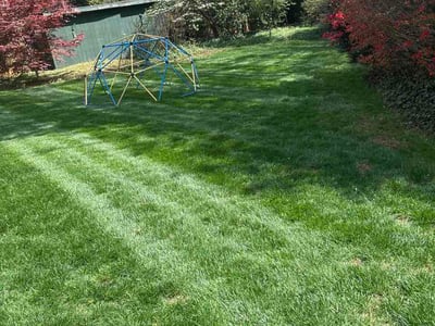 Lawn Care service in Charlottesville, 22902
