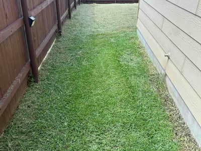 Lawn Care service in Killeen, 76541
