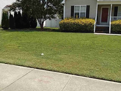 Lawn Care service in Haverhill, 01830