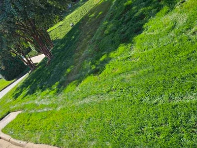 Lawn Care service in Williamston, 29697