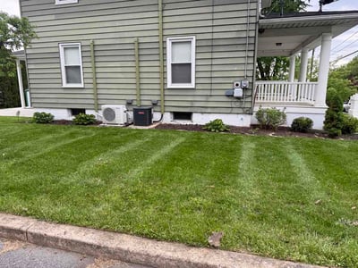 Lawn Care service in Phillipsburg, 08865