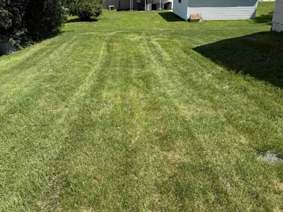 Lawn Care service in Shorewood, 53211