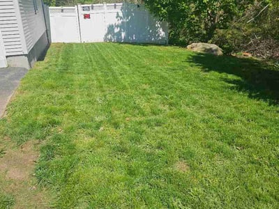 Lawn Care service in Westerly, 02891