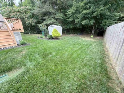 Lawn Care service in Henrico, 23294