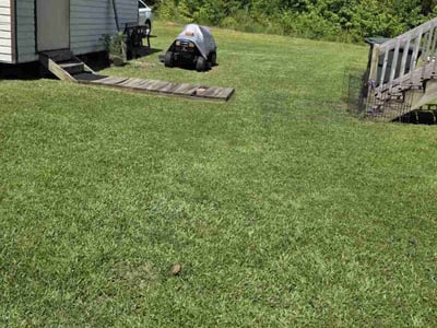 Lawn Care service in Laurens, 29360