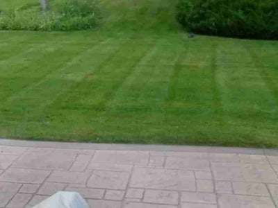 Lawn Care service in Greenfield, 53220