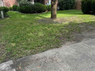 Lawn Care service in San Benito, 78586