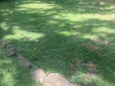 Lawn Care service in Gibsonia, 15044