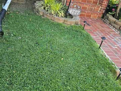 Lawn Care service in Sterling, 20164
