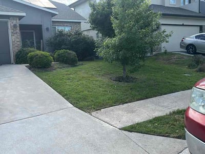 Lawn Care service in Harlingen, 78550