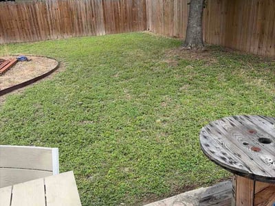 Lawn Care service in Selma, 78154