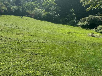 Lawn Care service in Charles City, 23030