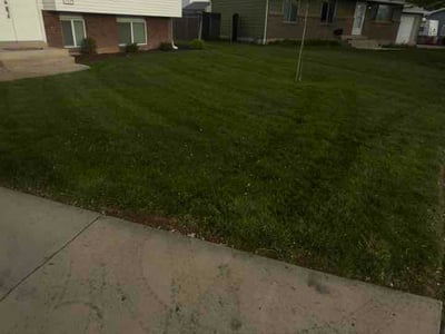 Lawn Care service in Syracuse, 84075