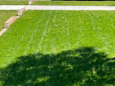 Lawn Care service in Syracuse, 84075