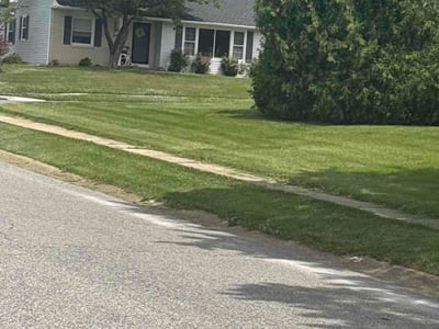 Lawn Care service in Claymont, 19703
