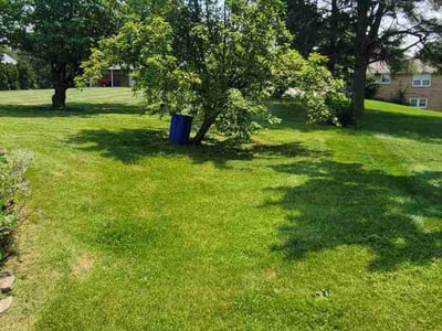 Lawn Care service in York, 17401