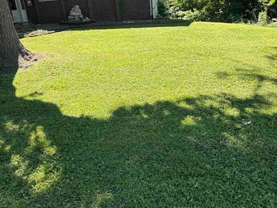 Lawn Care service in Collinsville, 62234
