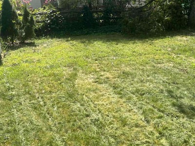Lawn Care service in Waldorf, 20603