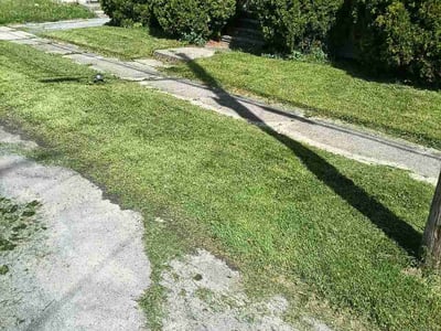 Lawn Care service in Oswego, 13126
