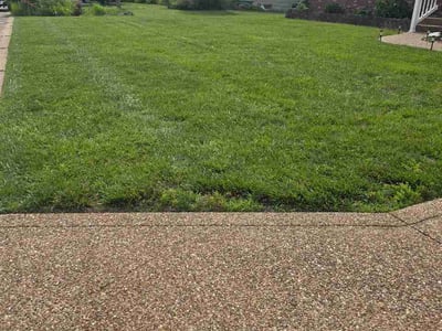 Lawn Care service in Troy, 63379