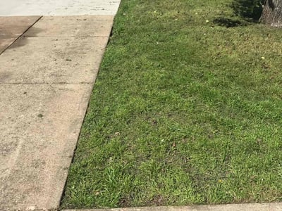 Lawn Care service in Hurst, 76053